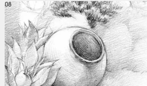 素描场景实操教程！花园一角怎么画？重庆画室学子看过来！图九