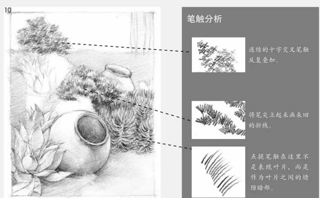 素描场景实操教程！花园一角怎么画？重庆画室学子看过来！图十一