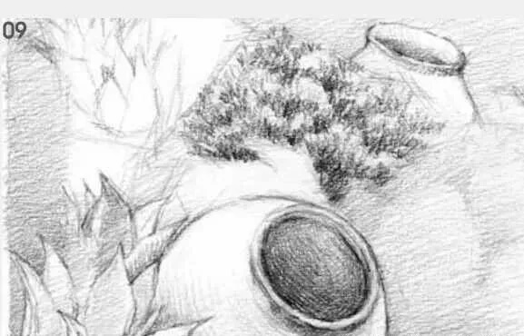 素描场景实操教程！花园一角怎么画？重庆画室学子看过来！图十