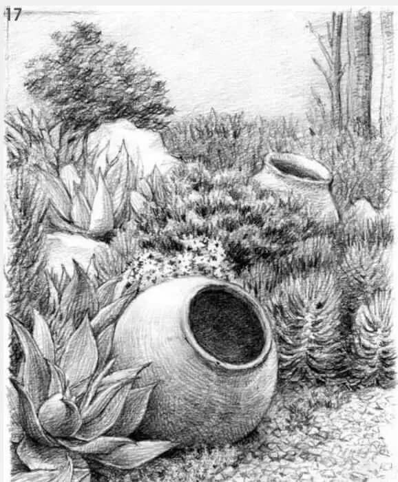 素描场景实操教程！花园一角怎么画？重庆画室学子看过来！图十八