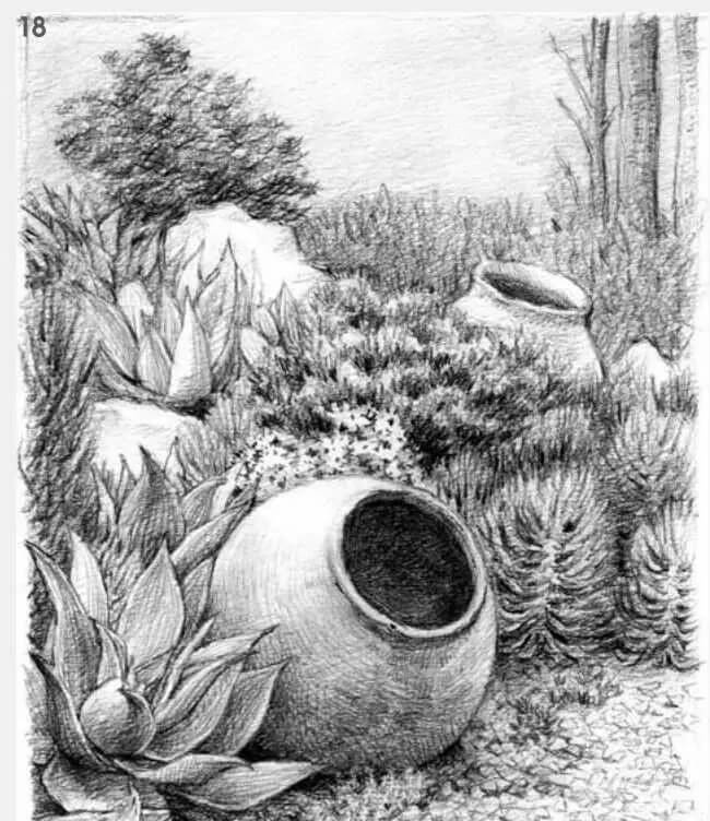 素描场景实操教程！花园一角怎么画？重庆画室学子看过来！图十九