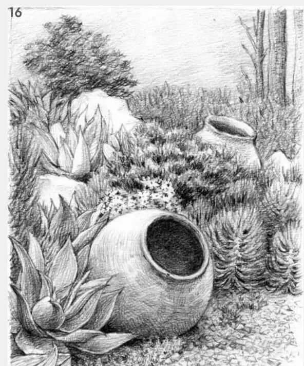 素描场景实操教程！花园一角怎么画？重庆画室学子看过来！图十七