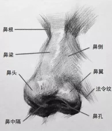 画好五官，整个头像就亮了！重庆美术培训画室帮你联考素描提高10分！